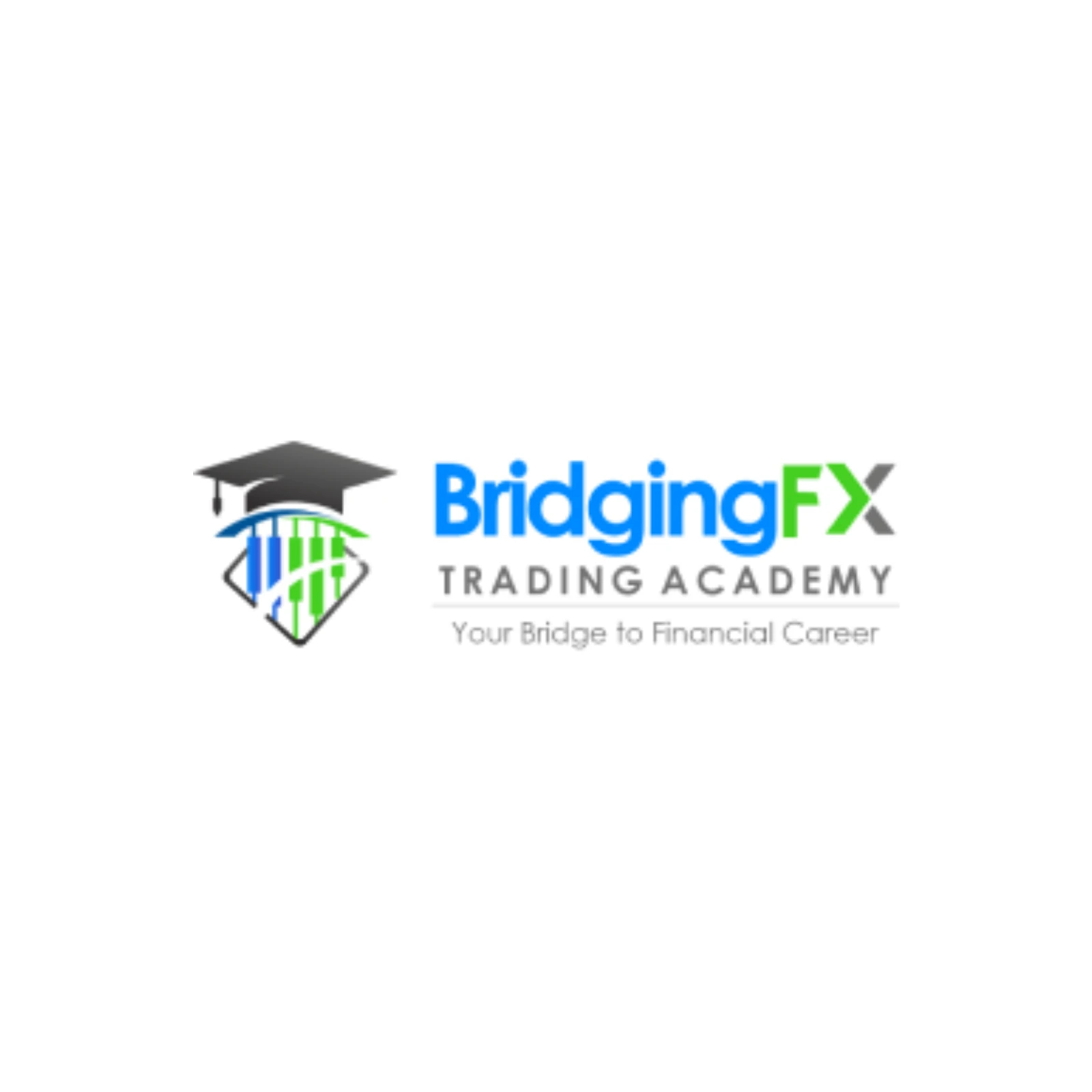 Bridging Academy Products